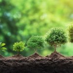 Try These 7 B2C Influencer Marketing Tactics for B2B Success