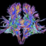 Marketing Trends. What to Expect Next for Business.