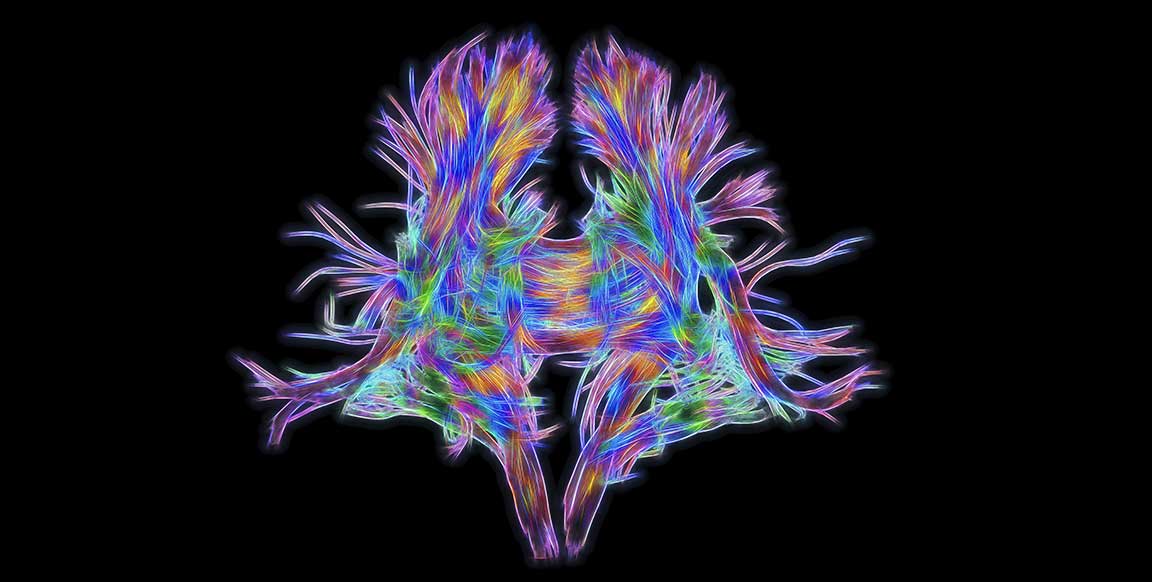 Neuro Marketing’s Role in Branding and Advertising.