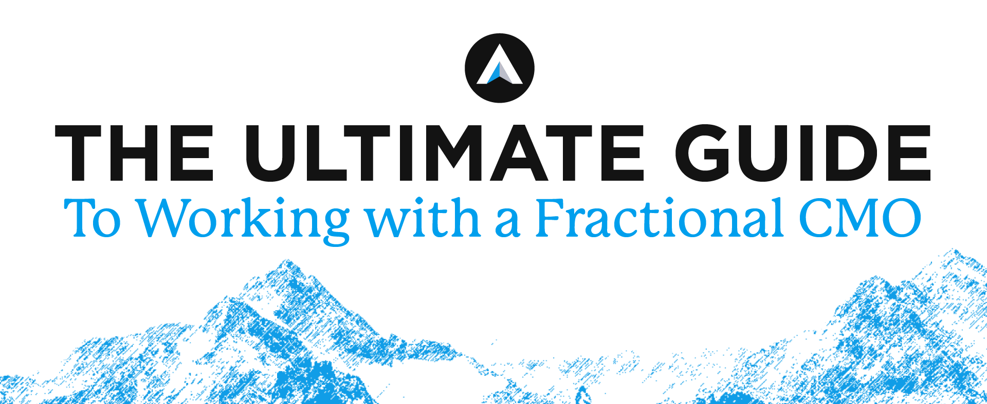 The Ultimate Guide to Working With a Fractional CMO