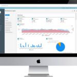 Brand Guides: Why Every Marketer Needs One