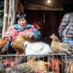 Why Magento is Still the Backbone of Scalable DTC