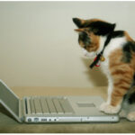 5 Steps to Find the Best Keywords to Use for SEO