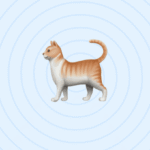 Deploying Smart Distribution via Automation