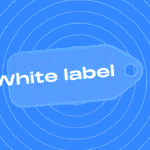 Categories and norms for web-inclusive user groups